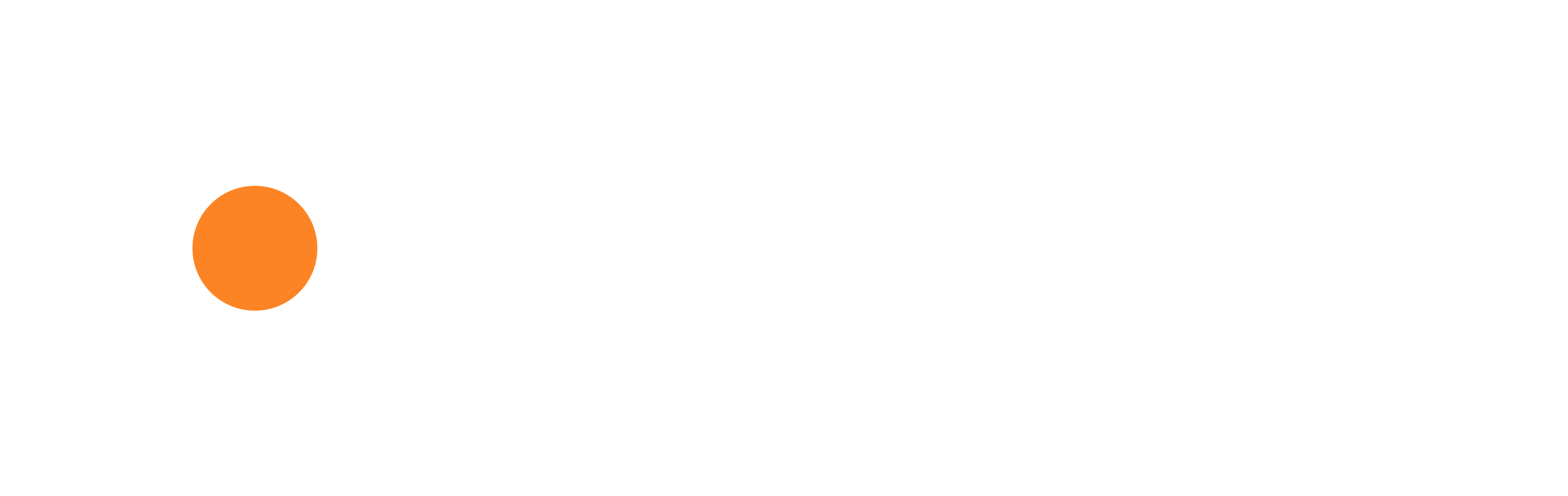 Diepholzer Berufsmesse_Logo_weiss
